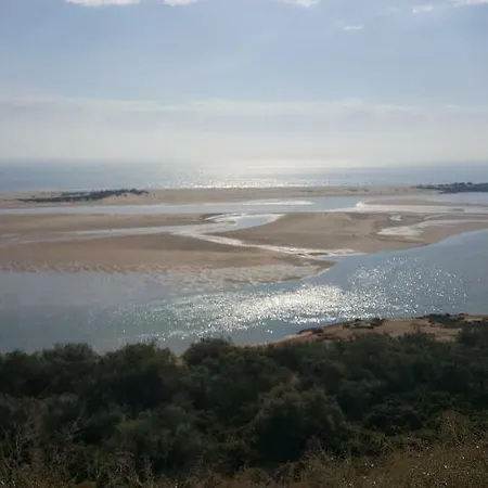 Papoilas Tavira